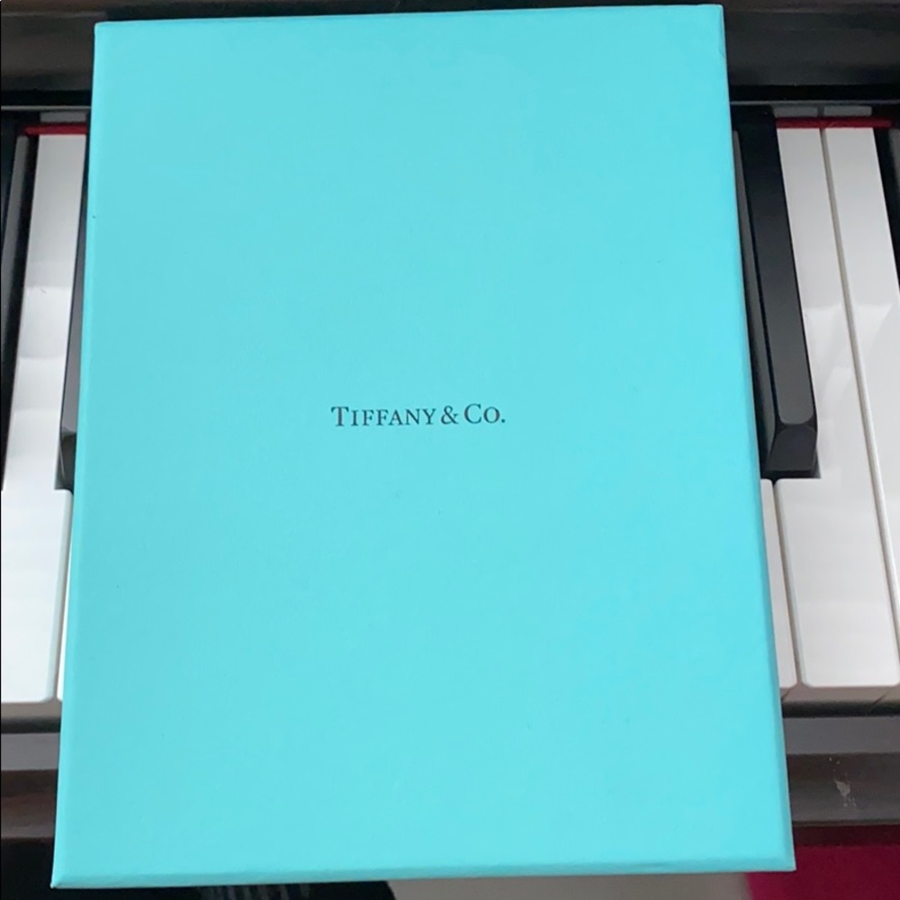 Tiffany&co jewelry case